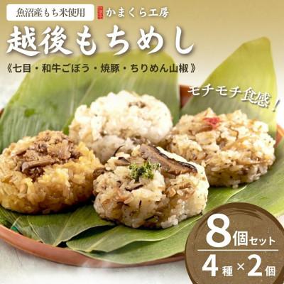 ふるさと納税 小千谷市 越後もちめし　8個(2個×4種)入り