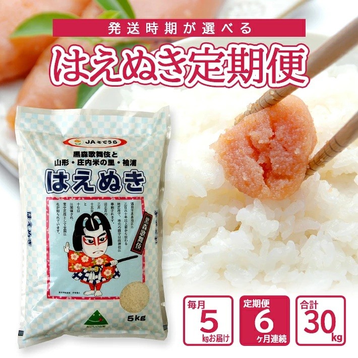 
                  ≪6ヶ月定期便≫ はえぬき 5kg×6ヶ月連続 計30kg 山形県産 毎月下旬頃お届け 農協 JA 米 お米 精米 白米 ごはん 東北 酒田 庄内 JS JAそでうら　SG0169
                