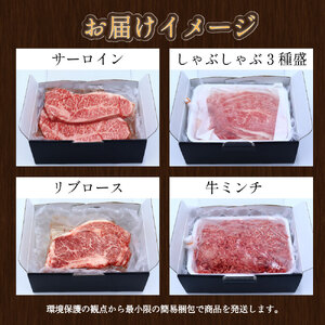 【年6回定期便】 長崎和牛 トライアルコース ／ 6回定期便 和牛 牛肉 お肉 肉 赤身 サーロイン もも カルビ バラ ロース 牛ミンチ ミンチ リブロース ステーキ 焼き肉 焼肉 すき焼き しゃぶ