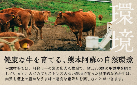 熊本和牛 あか牛 ザブトン 480g (120g×4)【 和牛 牛肉 お肉 肉 ザブトン 焼肉 バーベキュー 肩ロース ロース 熊本県産 国産 ステーキ 冷凍 】046-0782