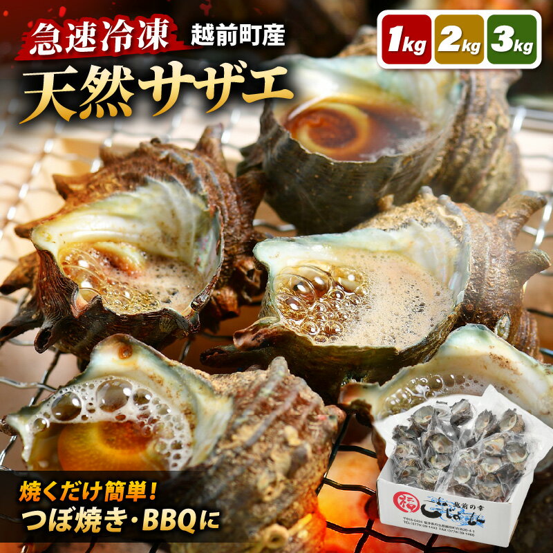 【ふるさと納税】越前町産 天然 サザエ【選べる内容量：1kg/2kg/3kg】【つぼ焼 BBQ 海鮮 バーべキュー 小分け おつまみ さざえ 福丸フーズ】