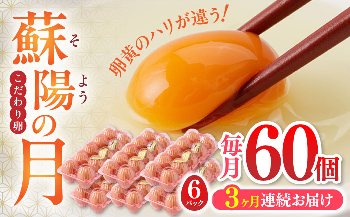 
【全3回定期便】蘇陽の月 60個入り ( 10個入り × 6パック ) 熊本県産 山都町 たまご 卵 玉子 タマゴ 鶏卵 オムレツ 卵かけご飯 朝食 料理 人気 卵焼き【蘇陽農場】[YBE022]
