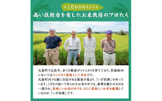 【定期便】令和6年産 新米 精米 ブランド米「いざ初陣」5kg（1kg×5個を3カ月）食味値85以上 整粒歩合80%以上