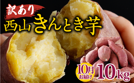 【令和7年10月お届け】訳あり 西山きんとき芋10kg | さつまいも 新芋さつまいも ホクホクさつまいも 西山台地さつまいも 人気さつまいも