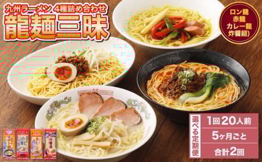 ラーメン 【マツコの知らない世界で絶賛 赤龍】【5ヶ月毎2回定期便】九州ラーメン 詰合せ 龍麺三昧 4種×5本 計40本（20本×2回）