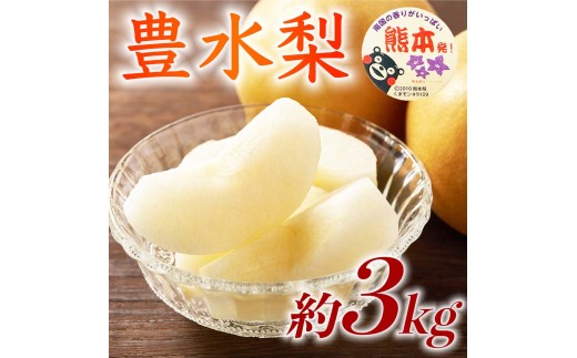 先行予約 豊水梨 約3kg（4～12玉） 【2026年8月上旬～2026年8月下旬発送予定】 梨 なし 和梨 豊水 国産 熊本県 熊本 九州 産地直送 果汁 たっぷり フレッシュ 日本フルーツ