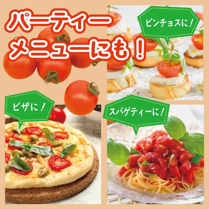 泉州産 新鮮ミニトマト 8パック+不揃いトマト2パック