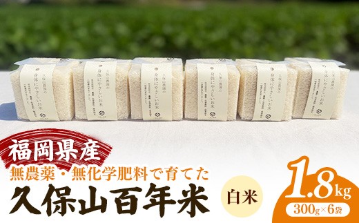 
                  令和8年産【先行予約】無農薬・無化学肥料で育てた久保山百年米 真空パック 白米 1.8kg(300g×6袋) 元気つくし【精米 お米 米 ご飯 ごはん ブランド 元気つくし 農家直送 福岡県 筑前町 BT051】
                