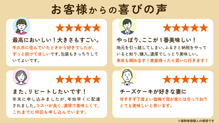 濃厚 ！ ベイクドチーズケーキ 5号（ 冷凍 ） ホールケーキ チーズケーキ 冷凍ケーキ クリームチーズ 濃厚 甘い おいしい 美味しい スイーツ おうちカフェ お菓子 おやつ お取り寄せ お土産 贈