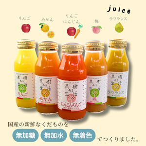 国産果汁100%ジュース＆スムージーセット（180ml×10本）［NH04］// 長野県 南信州 ストレートスムージー ストレートジュース 無加糖 無塩 香料不使用 着色料不使用 保存料不使用 天皇杯