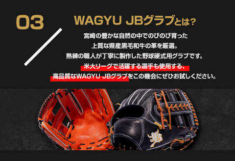 宮崎和牛革使用　和牛JB硬式用オーダーグラブ 野球 グラブ 牛革