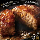 【ふるさと納税】島原鉄板焼き屋の一品　うまからじゃ手捏ねハンバーグ150g×5個