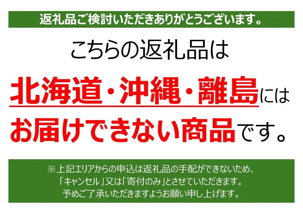 【2026年12月より順次発送】完熟中玉トマト レッドオーレ2箱【配送不可：北海道・沖縄・離島】◆