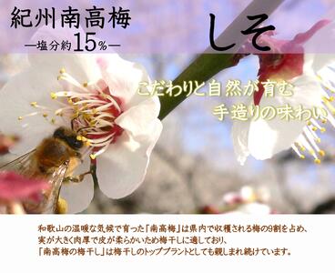 紀州南高梅 しそ 塩分約15％ 850g ［YM6m］ A-245