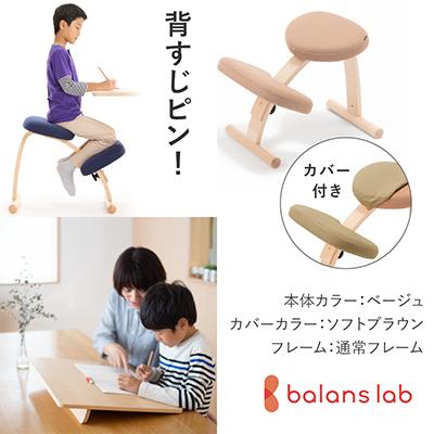ふるさと納税 美濃市 バランスイージー 通常[ベージュ]カバー付+イージーライティングボードM【複数個口で配送】