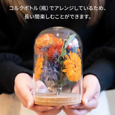 ふるさと納税 糸島市 ドライフラワーコルクインテリアMサイズ【BlueRoof/Anthology】[AXF011] |  | 01