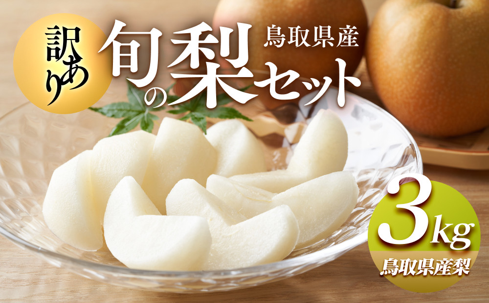 949.【訳あり】鳥取県産旬の梨セット 3kg【梨・なし・果物 フルーツ・くだもの】 313726_AN127