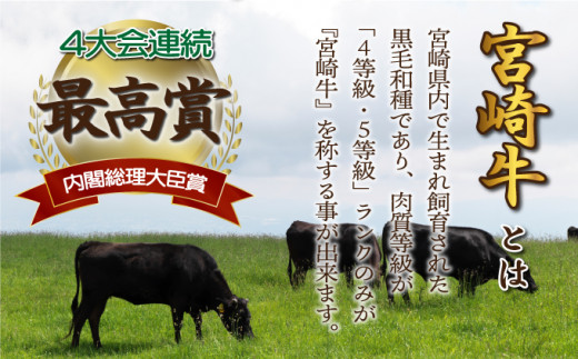 ＜2026年2月発送分＞宮崎牛ロースステーキ 200g×1枚 合計200g