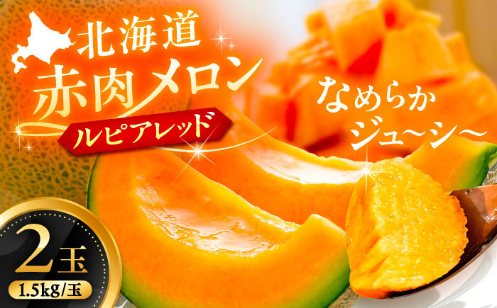
            【7月下旬以降順次発送】 北海道十勝 あしょろ銀河メロン ルピアレッド 1.5kg×2玉（赤肉）《足寄町》【郊南ハウス組合】メロン 果物 フルーツ 果肉 赤肉系 旬 1.5kg ギフト おすすめ 足寄町産 北海道産 道産 あしょろ 北海道 [BEAO001]
          