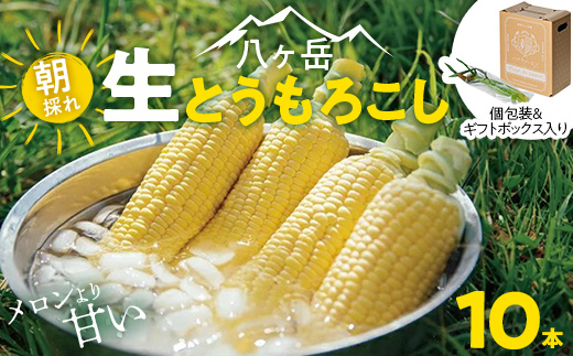　【先行予約】朝採れ 八ヶ岳生とうもろこし 10本〈2026年7月下旬～9月下旬発送予定〉【配送不可地域：離島】