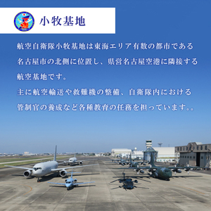 小牧基地 空自空上げ（からあげ）「甘辛スパイシー米粉空上げ」計2kg 冷凍 レンジで簡単[003D15]