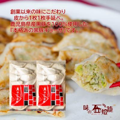ふるさと納税 南さつま市 【母の日ギフト】鹿児島県産 手作り本格黒豚餃子 50個 (25個×2P) |  | 02
