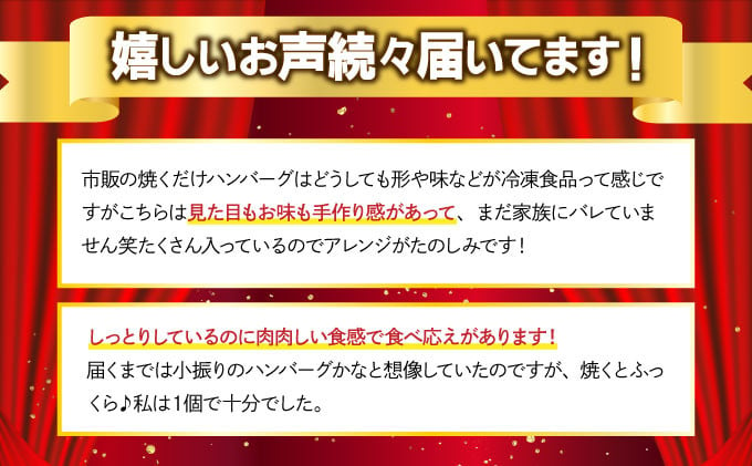 《数量限定》選べる個数 23個 8個 佐賀牛ハンバーグ120g ふっくらジューシー！