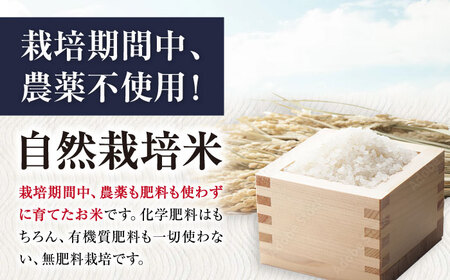 【先行予約】令和8年産 新米 滋賀旭 10kg 玄米 [AQCP041]