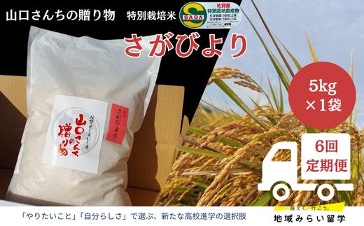 
            【定期便】【令和8年11月以降発送】山口さんちの贈り物 特別栽培米 さがびより 白米 （5kg×全6回）
          