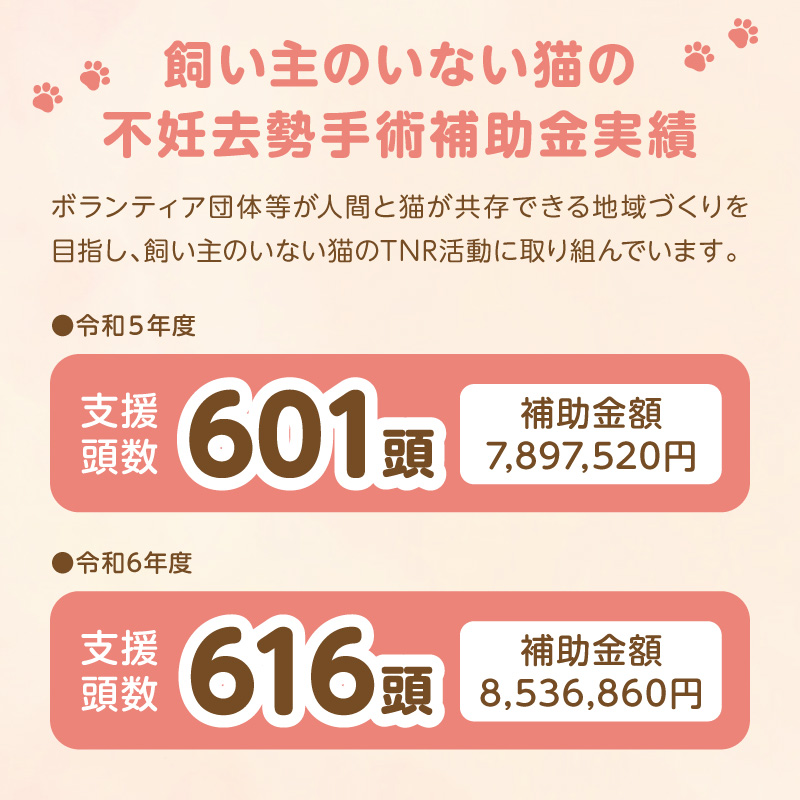 人と猫が互いに幸せになれるまちを目指して『不妊去勢手術支援プロジェクト』（返礼品はありません） N0159-9999995