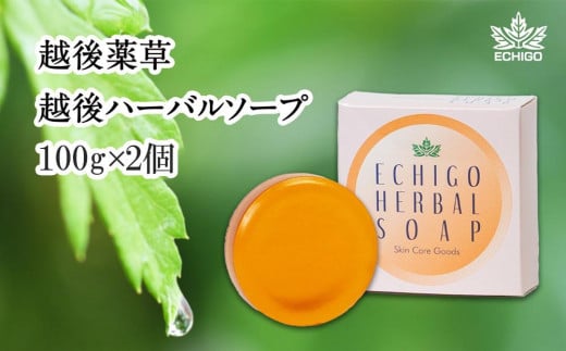 
石鹸 【新潟県産よもぎ使用】お肌にやさしい越後ハーバルソープ×2箱 越後薬草 よもぎ ヨモギ よもぎ石鹸 ヨモギ石鹸 ふるさと納税 新潟 新潟県産 にいがた 上越 上越産
