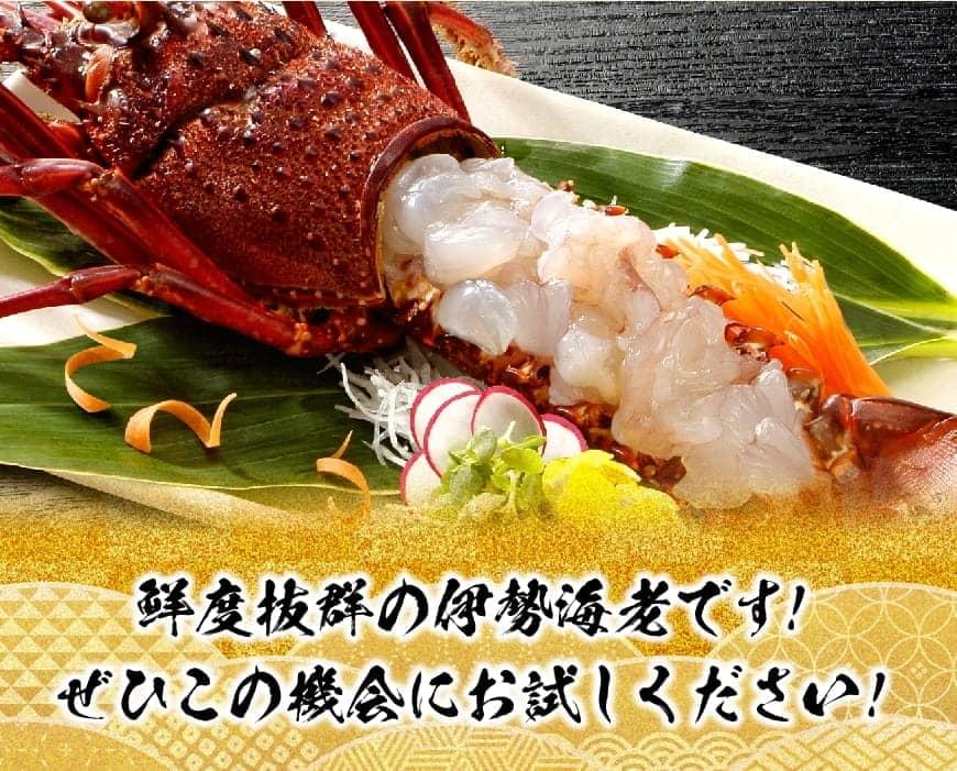 《先行予約》担当者厳選！伊勢海老1000g（2～5尾） 【魚介類 えび 伊勢えび イセエビ 日向灘】[D04402]