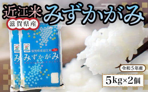 
近江米　みずかがみ　白米１０㎏ 令和6年産 BD08
