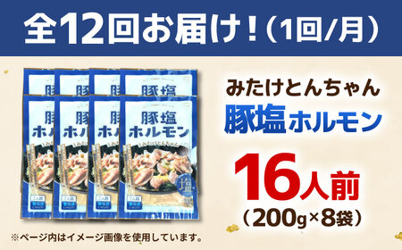 【12回定期便】岐阜県産豚もつの鉄板焼き「元祖みたけとんちゃん」豚塩味（16人前）[AVAA081]豚 定期