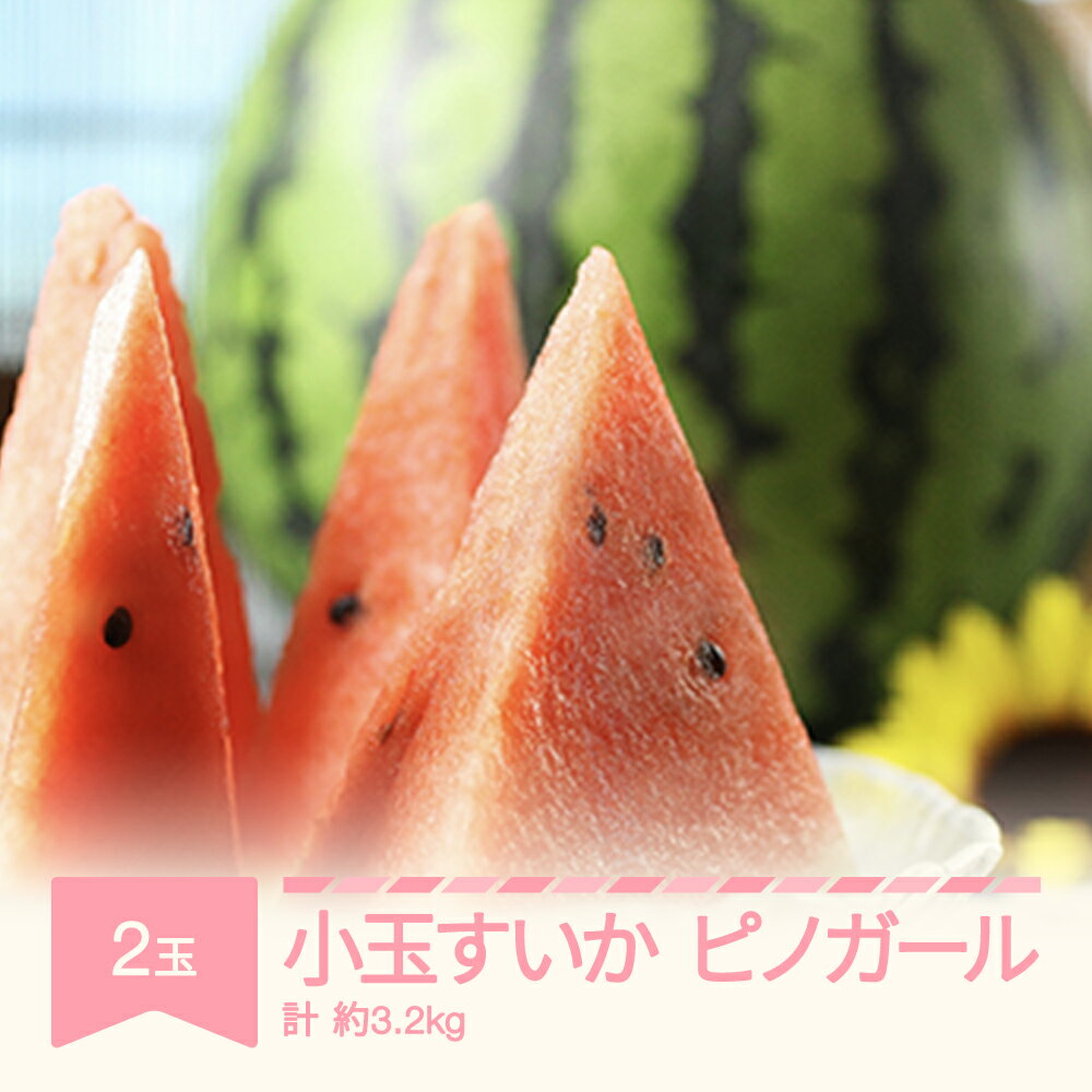 【ふるさと納税】先行予約 すいか ピノガール 小玉 2玉入り 計 約3.2kg 2025年産 令和7年産 山形県産 送料無料 ※沖縄・離島への配送不可