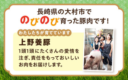 　「山のウエノ豚」 ウデ 切り落とし 1.4kg(700g×2パック) 大村市/合同会社肉のマルシン[ACCF002]