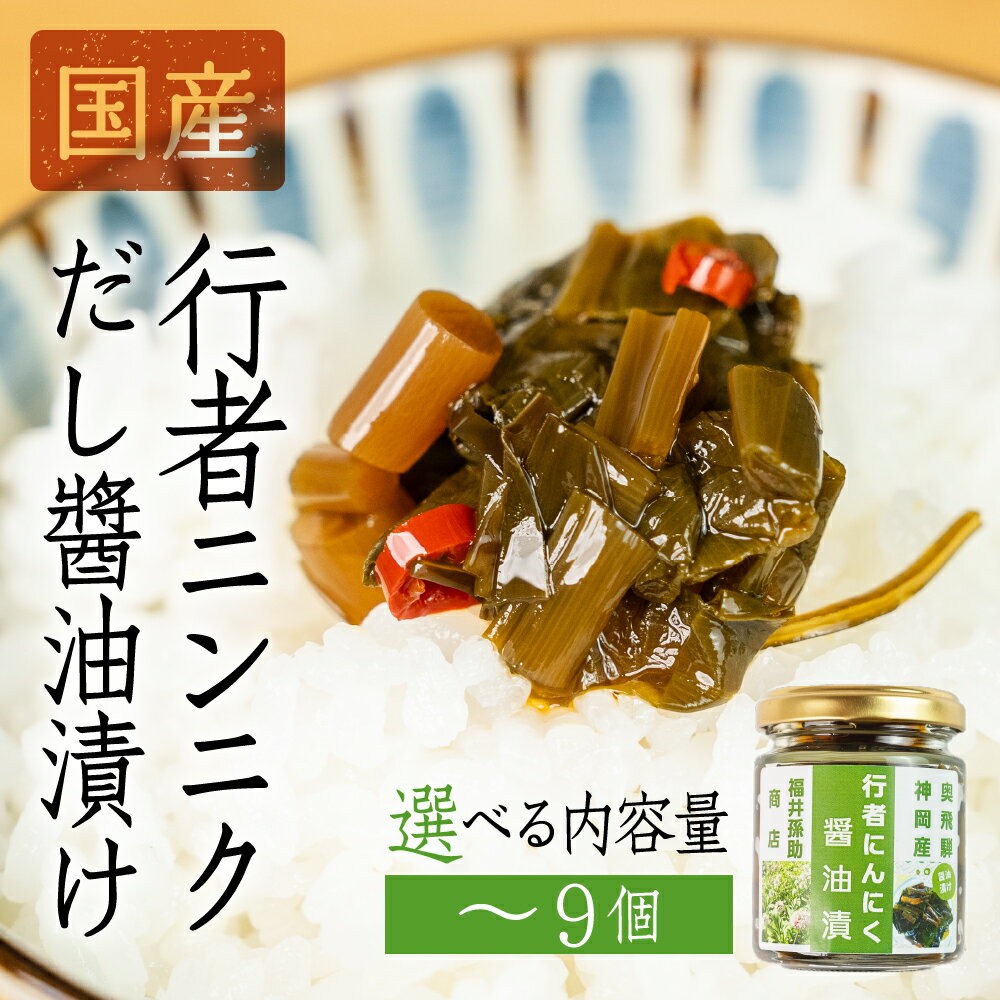 【ふるさと納税】【先行予約】5月下旬～1月中旬発送 行者ニンニクだし醤油漬け 3個 5個 9個 内容量選べる 瓶詰 瓶詰め おつまみ おかず ご飯のお供 惣菜 [Q2798 Q2799 Q2800] 10000円 1万円 17000円 30000円 3万円