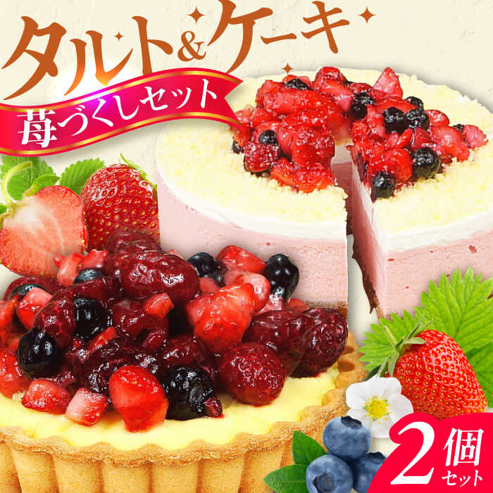 【ふるさと納税】ケーキ・タルトセット（苺のムースケーキ・ベリーベリータルト）　広川町 / イートウェル株式会社[AFAK152]