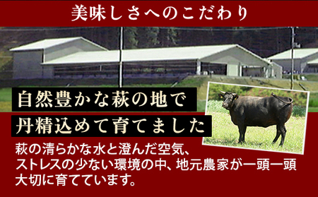 数量限定 牛肉 焼肉 もも 400g