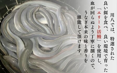 かくれ うなぎ 誕生の店川八 うなぎ 蒲焼8人前　【 うなぎ うなぎ うなぎ うなぎ うなぎ うなぎ 】