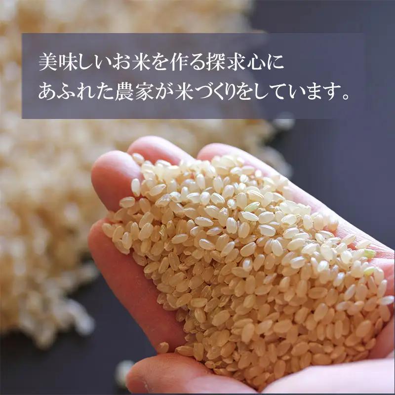 【令和7年産】 山形はえぬき 無洗米 20kg (5kg×4袋)　山形県鶴岡市産　株式会社菜な八（鶴岡ファーマーズ）