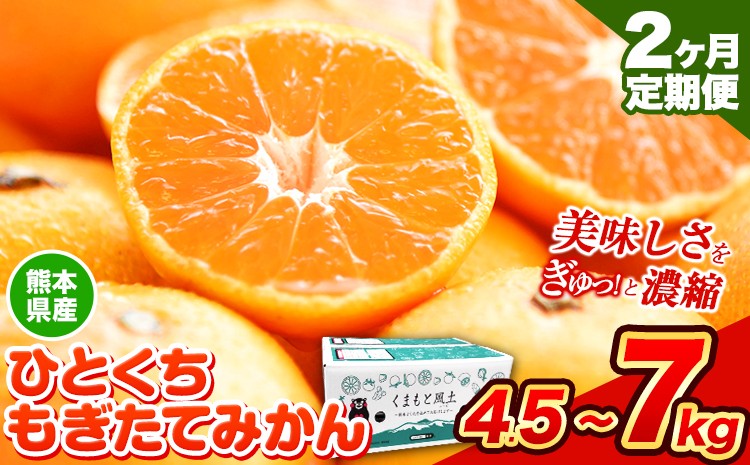 
                  【2025年先行予約】【2か月定期便】訳あり みかん ひとくちもぎたてみかん 選べる 約 4.5kg (4.5kg×1箱) 約 7kg (7kg×1箱) S-3Sサイズ 訳あり ご家庭用 熊本県産 （荒尾市産含む） 期間限定 フルーツ 果物 旬 冬 柑橘 小玉 みかん《2025年10月・11月出荷》
                