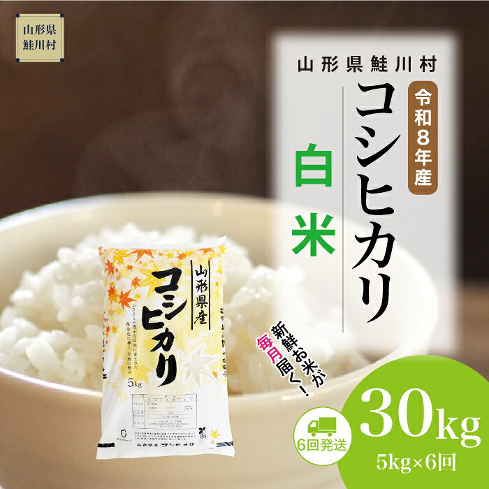 【ふるさと納税】＜令和8年産米＞ 鮭川村 コシヒカリ 【白米】30kg （5kg×1ヶ月間隔で6回お届け）＜配送時期選べます＞