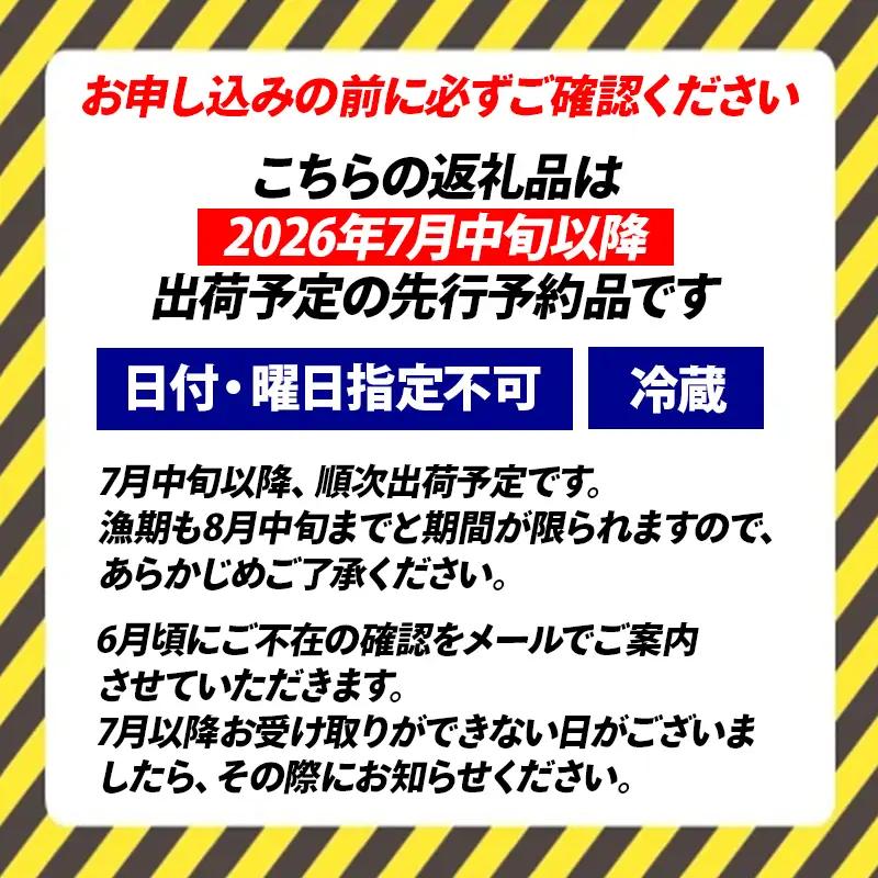 【先行予約】親不知産 天然岩牡蠣(生食用) 大サイズ４～５個 2026年7月中旬以降順次発送 鮮度抜群！ 水揚げ直後に発送 日本海 かき カキ 岩ガキ