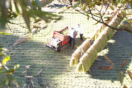 【世界農業遺産】 仙人の棚田米 5kg 椎葉産 米 産地直送