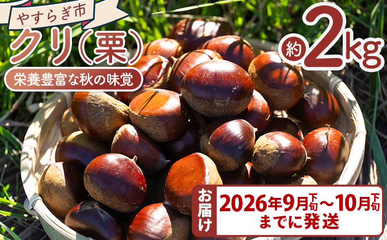 栄養豊富な秋の味覚 クリ（栗） 2袋（２kg）　yr-0103