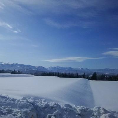 ふるさと納税 十日町市 【2ヵ月毎定期便】農家直送!魚沼産コシヒカリ特別栽培 精米(10kg×2袋)全6回 |  | 03