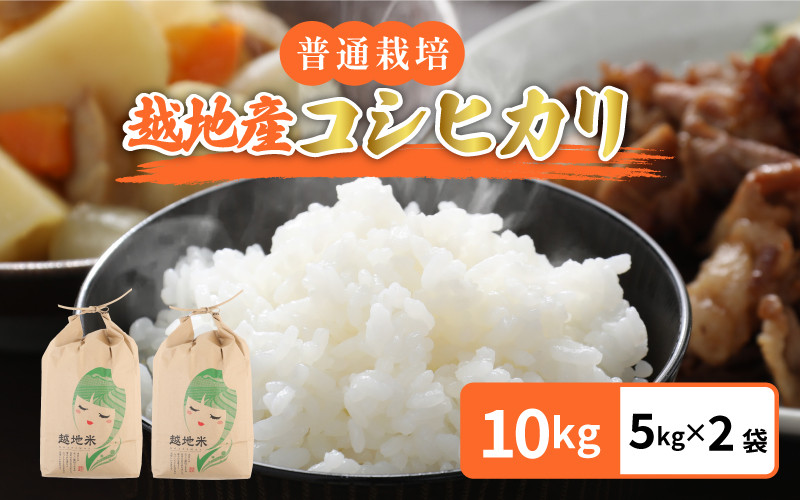 
米 越地（こいち）産 コシヒカリ（普通栽培）令和5年産 計10kg（5kg × 2袋）[m24-a002]
