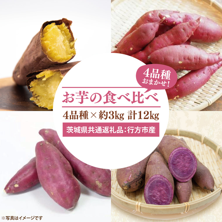 【先行予約】お芋の食べ比べ さつまいも 4品種×約3kg 計12kg（茨城県共通返礼品：行方市産）※2025年10月上旬～2026年3月下旬頃に順次発送予定（CD089）