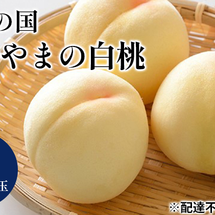 桃 2024年 先行予約 晴れの国 おかやま の 白桃 3kg 8玉～10玉 もも モモ 岡山県産 国産 フルーツ 果物 ギフト